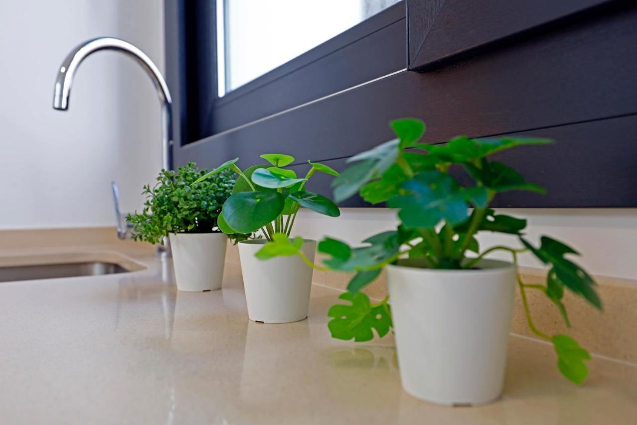 Victoria Suites Apartments Cordoba Dış mekan fotoğraf
